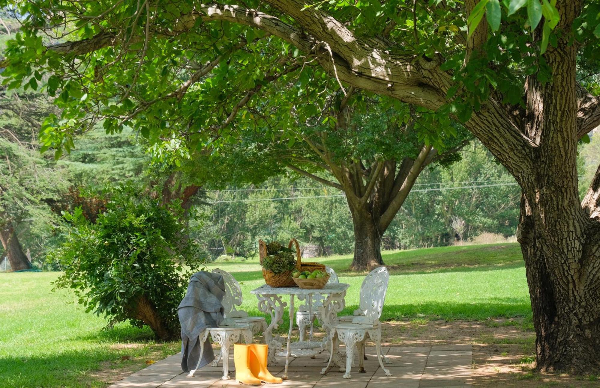 St Fort Farm Guesthouse Clarens Buitenkant foto